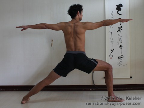 warrior 2 yoga pose, back view, shoulder blades retracted, trapezius muscle actiated