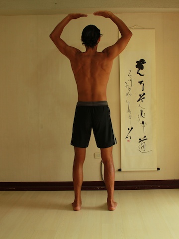 Dance of Shiva, Neil Keleher, rear view, movement from 33 to 44