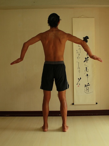 Dance of Shiva, Neil Keleher, rear view, movement from 33 to 44