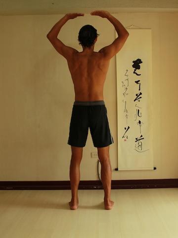 Dance of Shiva, Neil Keleher, rear view, movement from 44 to 11