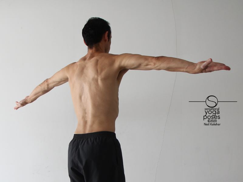arms to side, back view, internally rotated, rotator cuff exercises, shoulder exercises, arm rotations