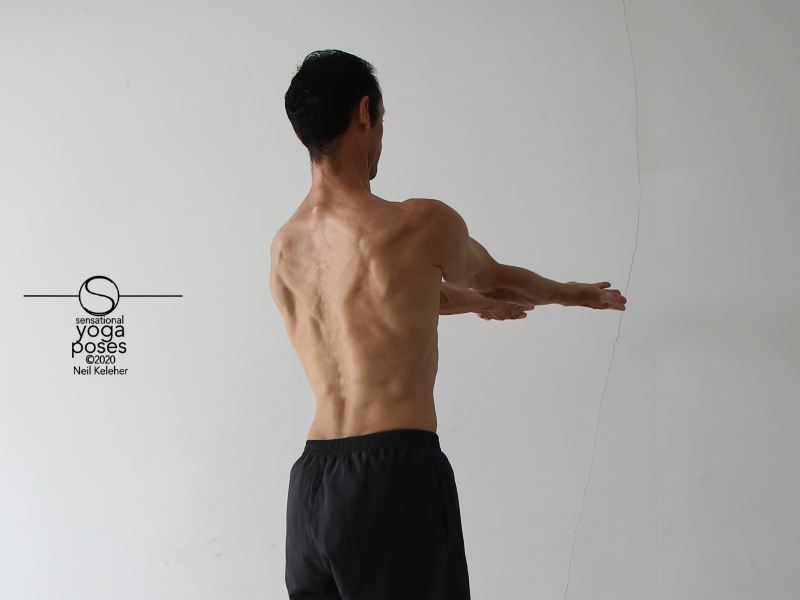arms to front externally rotated, rotator cuff exercises, shoulder exercises, arm rotations