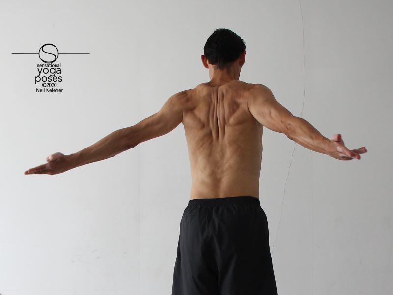 arms to back, externally rotated, rotator cuff exercises, shoulder exercises, arm rotations
