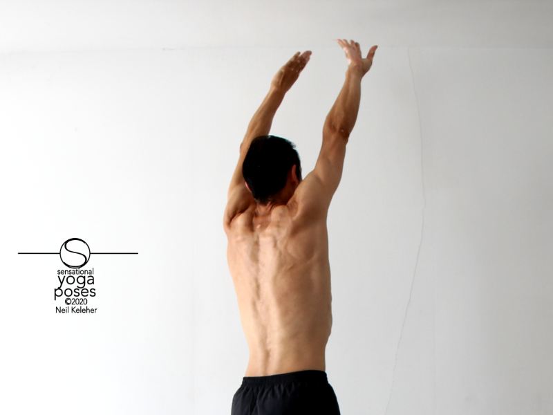 arms up,  internally rotated, rotator cuff exercises, rotator cuff exercises, shoulder exercises, arm rotations