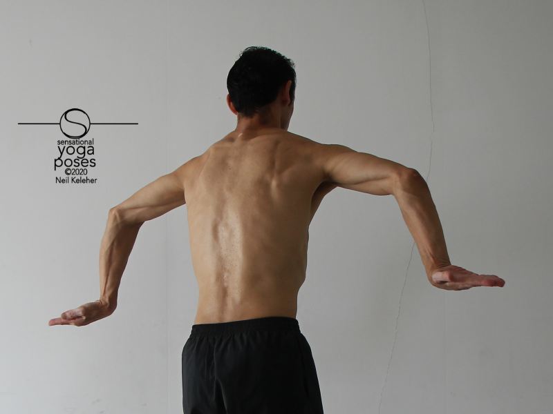arms to front, elbows bent, internally rotated, rotator cuff exercises, shoulder exercises, arm rotations