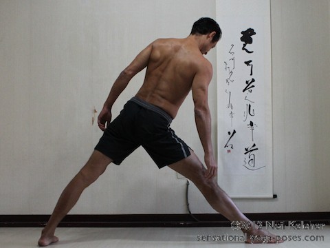side angle yoga pose prep position, pelvis tilted, knee straight