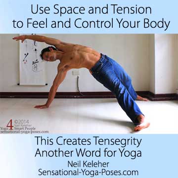 Use space and tension to feel and control your body. This creates tensegrity, another word for yoga.
