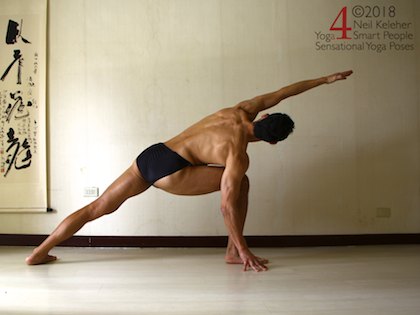 Side Angle yoga pose with hand on floor outside foot. Neil Keleher, Sensational Yoga Poses.