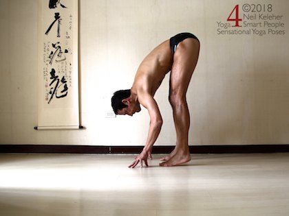 Standing forward bend with heels lifted hands on floor. Neil Keleher. Sensational Yoga Poses.
