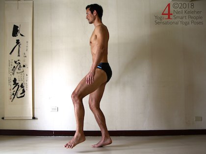 Standing yoga poses: Balancing on one foot with heel slightly lifted. Body is upright with one  leg slightly lifted. Weight is over the standing leg forefoot with the heel of that foot lifted. Supporting leg knee is slightly bent. Head is inline with the torso with gaze directed straight ahead. Neil Keleher. Sensational Yoga Poses.