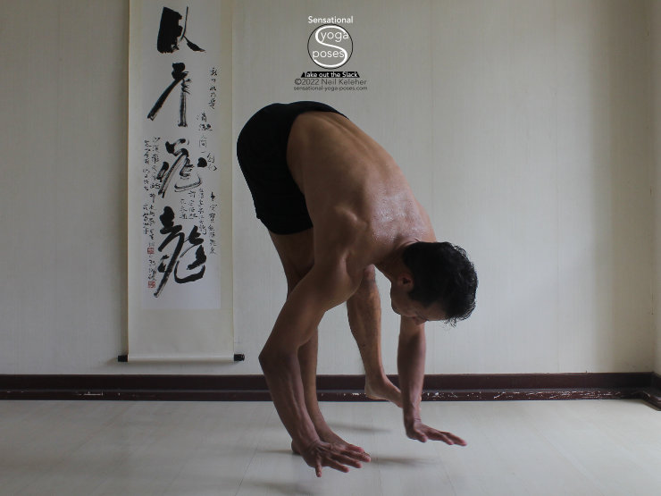 Forward Bend Standing On One Foot, Neil Keleher, Sensational yoga poses