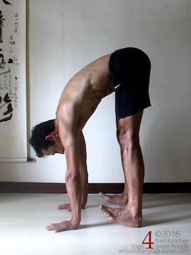 Standing calf stretch while bending forwards, fronts of feet lifted using muscle action. Hips back to reduce stretch.