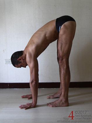 standing forward bend with hands on the floor Neil Keleher. Sensational Yoga Poses.