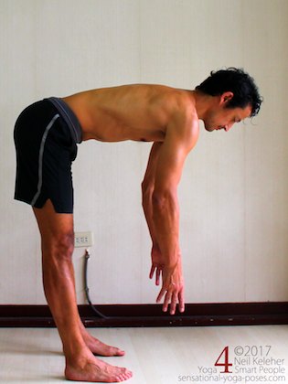 standing forward bend with psoas major lengthened
