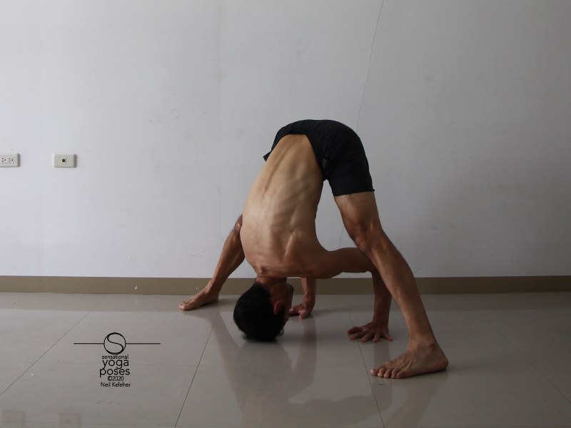 Prasaritta padotanasana A, wide leg standing forward bend with hands on floor and elbows bent. Neil Keleher, Sensational Yoga Poses.