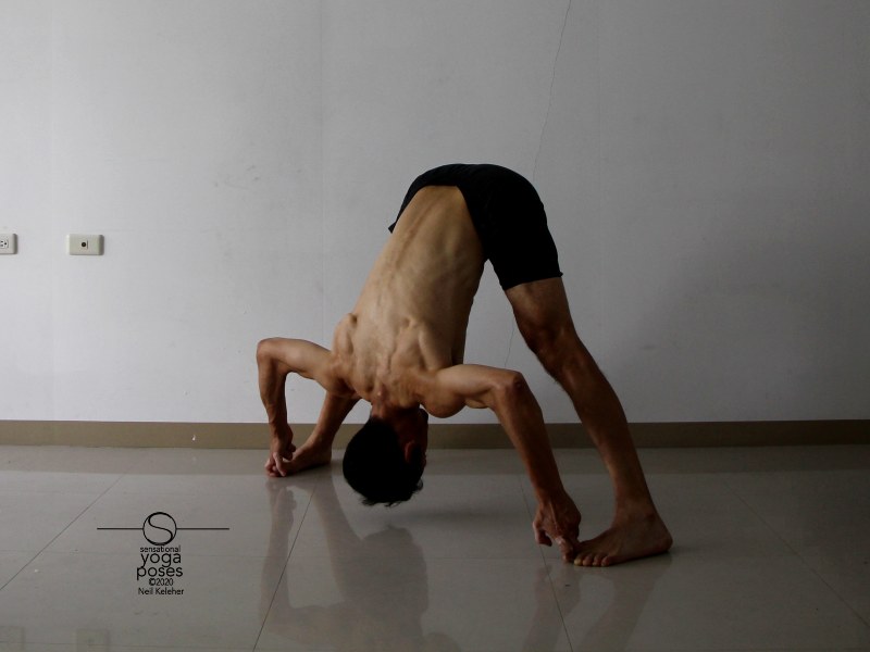 prasarita padottanasana d, wide leg standing forward bend D