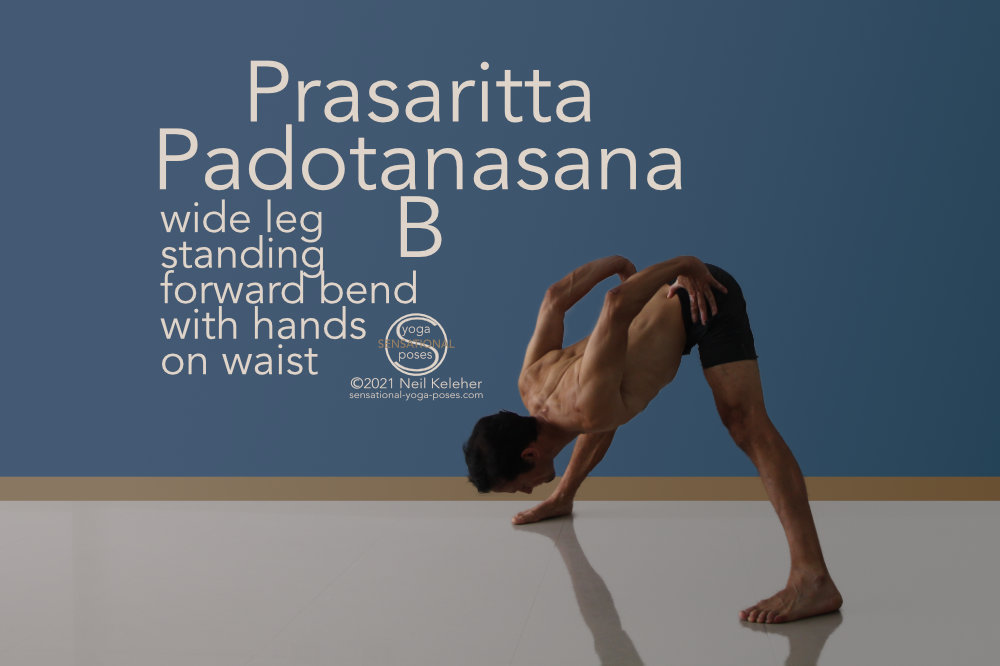 In this standing wide leg forward fold you place your hands on your waist. To deepen the forward bend you can exert your hamstrings and glutes against your hip flexors. Neil Keleher, Sensational Yoga Poses.