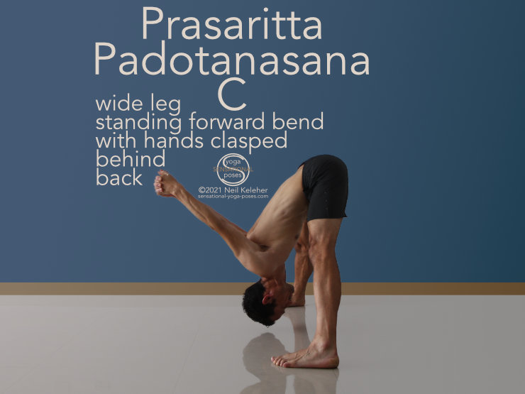 Wide Leg Standing Forward Bend C Position, Neil Keleher, Sensational yoga poses