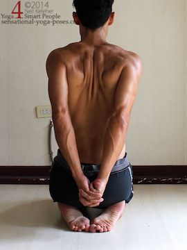 dwrikonasana shoulder flexibility stretch, shoulder blades retracted.