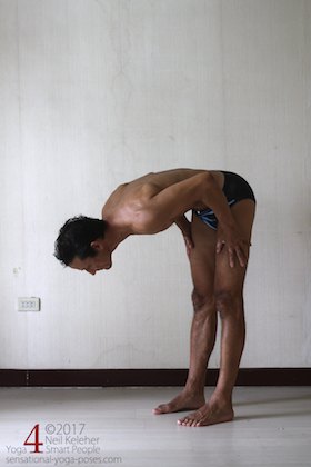 Surya Namaskar 3 Bending 1B Surya namaskar steps, bend forwards, hands on thighs. Neil Keleher. Sensational Yoga Poses.