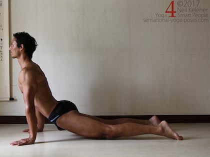 Surya Namaskar 6 Down Dog From Up Dog Plank 3849 Surya namaskar steps, Upward facing dog. Neil Keleher. Sensational Yoga Poses.