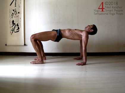 Table top yoga pose. Neil Keleher. Sensational Yoga Poses.