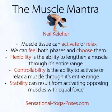 the muscle mantra: muscle tissue can activate or relax, we can feel both phases and choose them, flexibility is the ability to lengthen a muscle through it's entire range, contrllability is the ability to activate a muscle through its entire range, stability can result from activating opposing muscles with equal force, sensational yoga poses.com