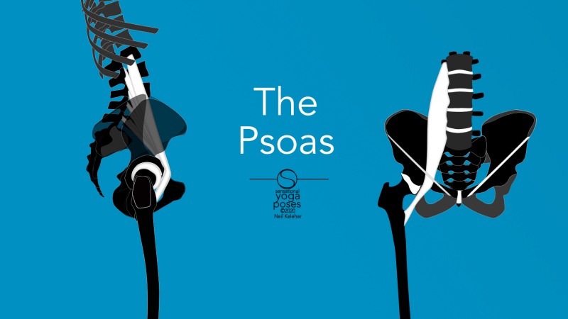 The Psoas, Understanding It, Stretching It, Feeling It And Using It., Neil Keleher, Sensational yoga poses