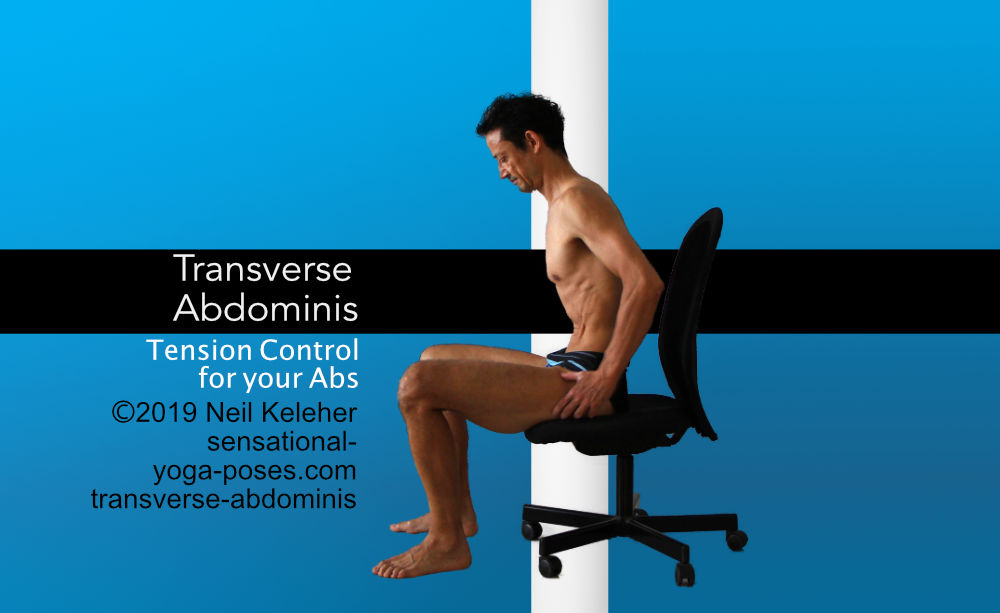 Transverse Abdominis