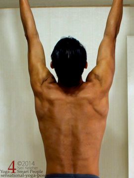 shoulder blades upward rotated (shoulder sockers in supraversion), neil keleher, sensatinal yoga poses.