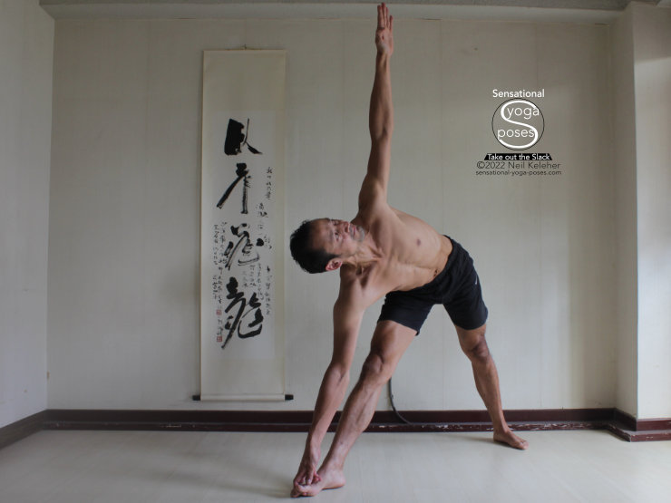Triangle Pose, Neil Keleher, Sensational yoga poses