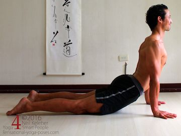 upward facing dog, upward dog, upward dog and using the psoas to jump to downward facing dog