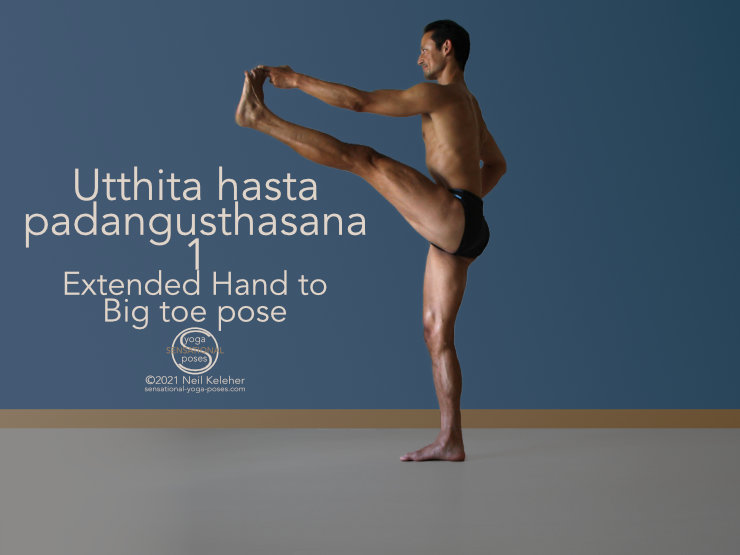 Hamstring Stretch Standing Upright Arm Assisted, Neil Keleher, Sensational yoga poses