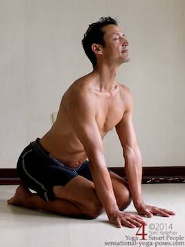 januhastasan, a kneeling posture with hands on the floor in front of the knees with spine bent backwards. . Neil Keleher. Sensational yoga poses.