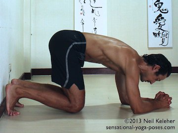 inverted yoga pose, headstand prep using wall