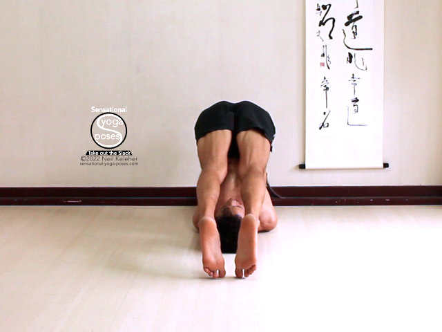 Plow Pose – Halasana | beYogi