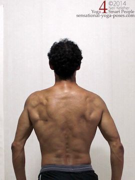 Warrior 1 Arm Lifts With Scapular Protraction 33