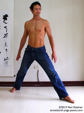 yoga pose brush strokes for warrior 1, knees straight pelvis turned to side
