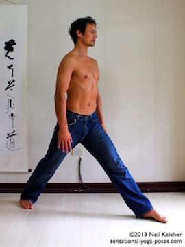 yoga pose brush strokes for warrior 1, knees straight pelvis turned to front