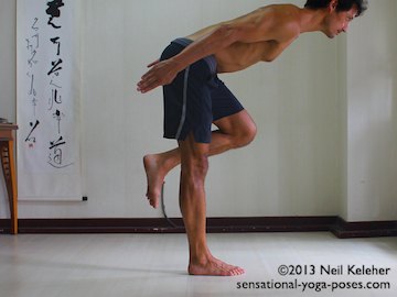 standing forward bend balancing on one leg with spine horizontal, psoas activation