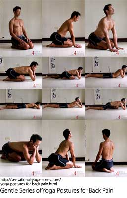 yoga postures for back pain: vajrasan, januhastasan, hastashirasan, ekpad sahajahasta bhujangasan, sahajahasta bhujangasan, makarasan, sahajasta bhujangasan, ekpad sahajahasta bhujangasan, hastashirasan, januhastasan, vajrasan, Neil Keleher, Andrea Ridgeway, Healing Tree, Sensational Yoga Poses.